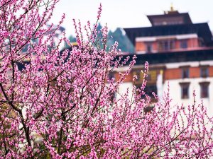When To Visit Bhutan