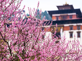 When To Visit Bhutan