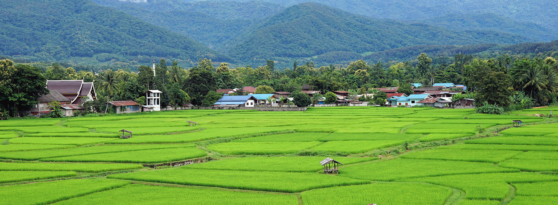 Travel Bhutan Tour