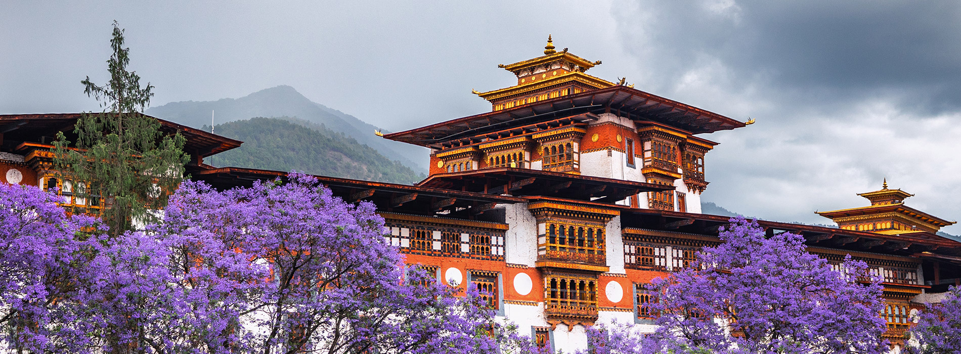 Travel Bhutan Tour