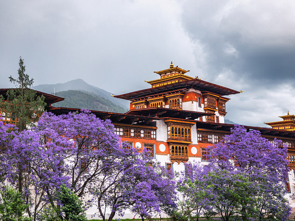 Travel Bhutan Tour